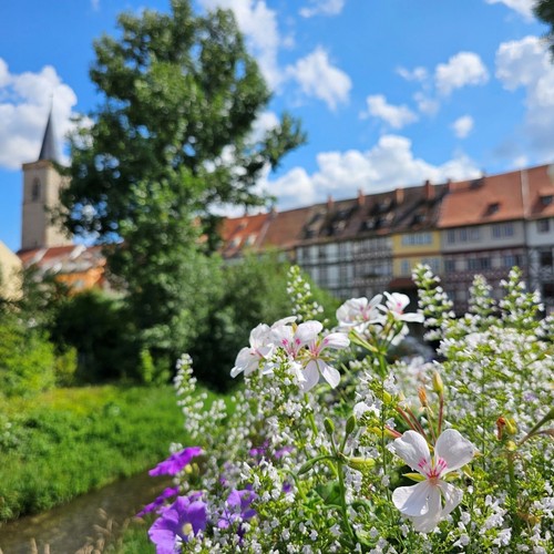 Erfurt kurzreise tage - 2-4,