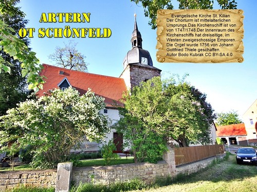 Artern schönfeld - artern,